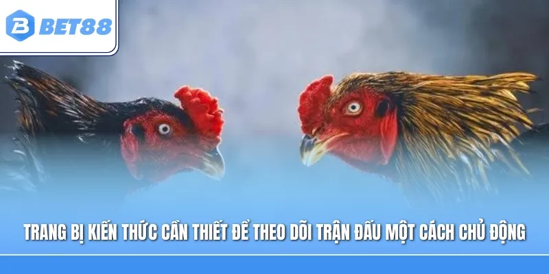 Trang bị kiến thức cần thiết để theo dõi trận đấu một cách chủ động và có trách nhiệm