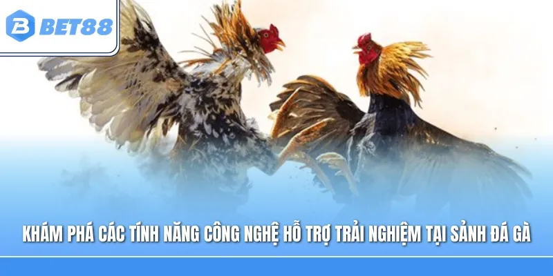 Khám phá các tính năng công nghệ hỗ trợ trải nghiệm tại sảnh đá gà